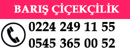 Bursa Çiçekçi - Bursa Nöbetçi Çiçekçi